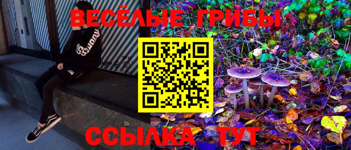 Мурино  Галлюциногенные грибы ЛСД  Вход с VPN  Галлюциногенные грибы Psilocybine cubensis 